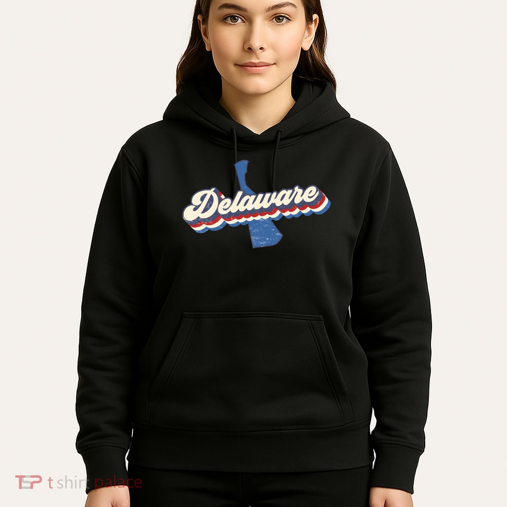 State Of Delaware Retro Logo Hoodie
