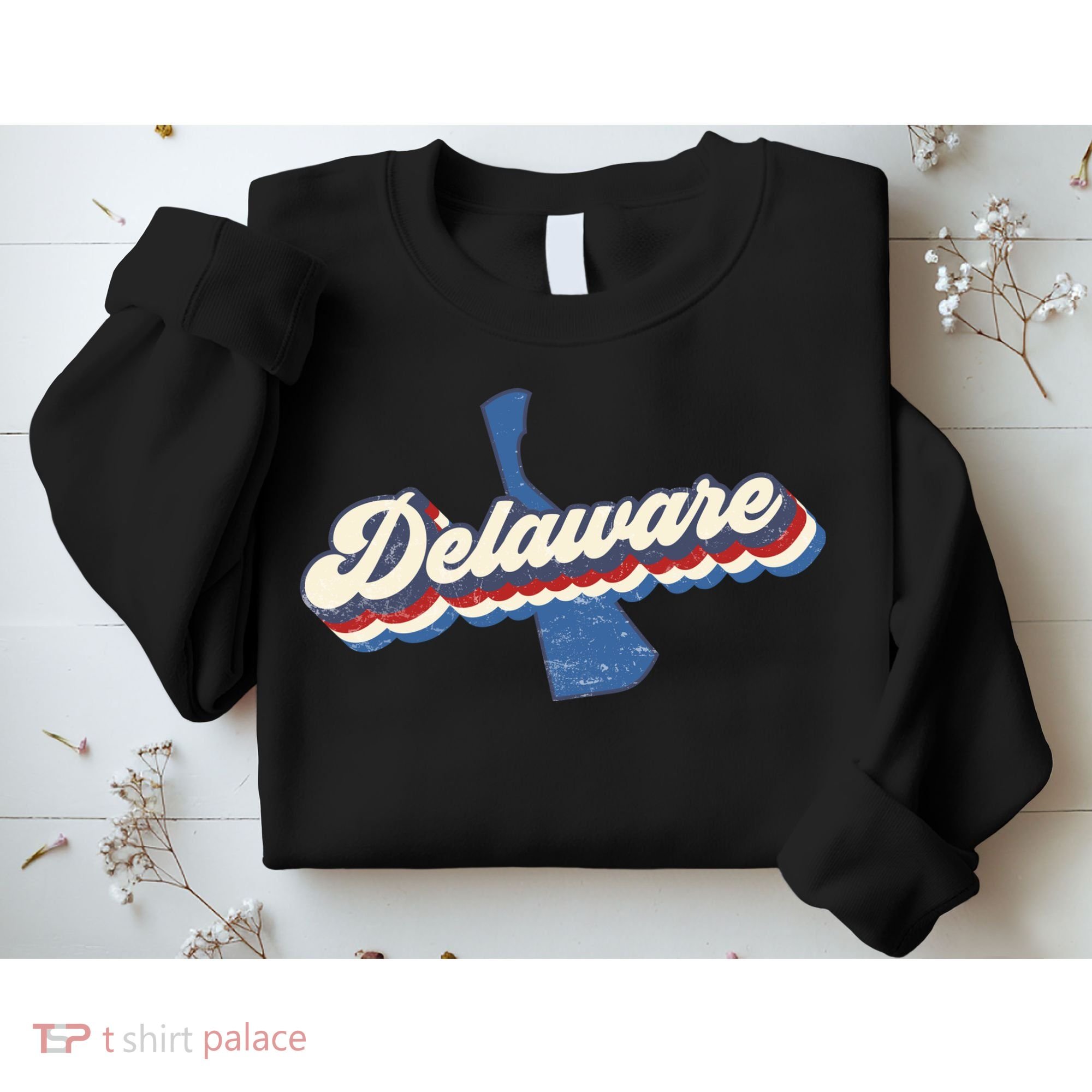 State Of Delaware Retro Logo Sweatshirt