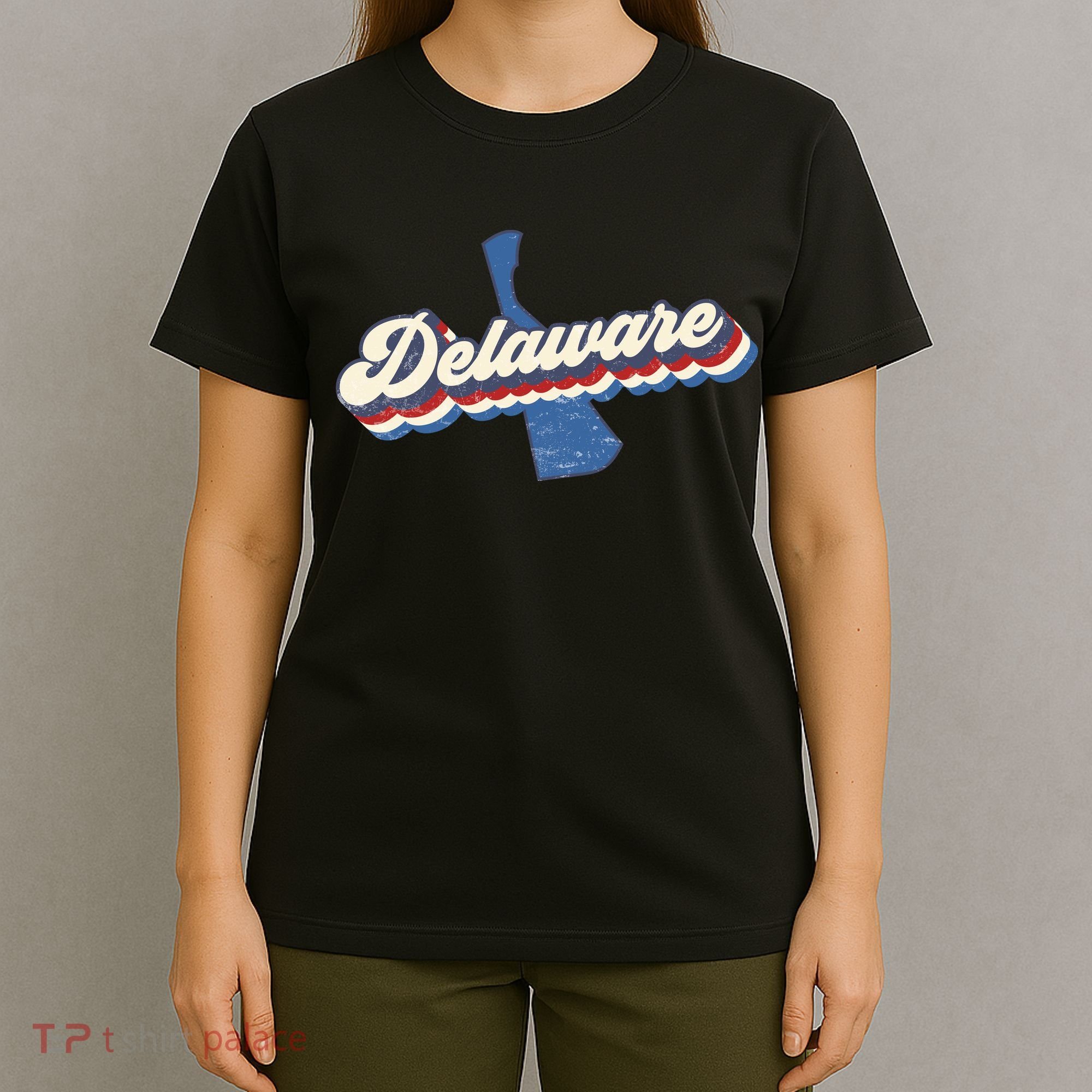 State Of Delaware Retro Logo T-Shirt