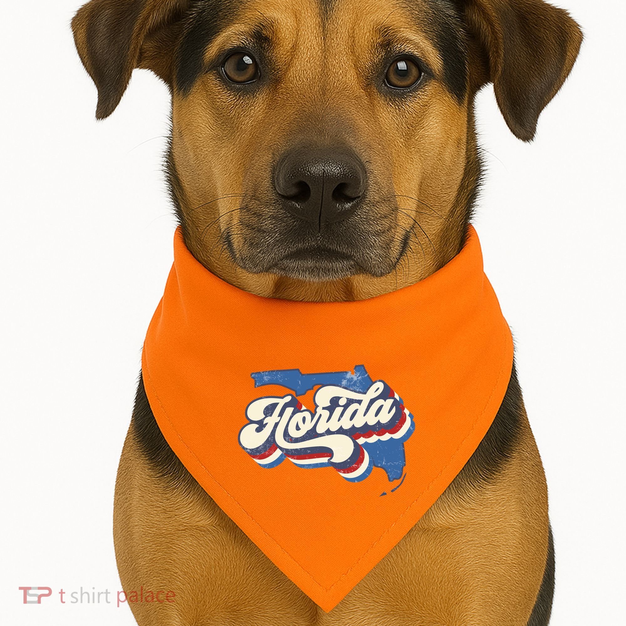 State Of Florida Retro Logo USA-Made Doggie Bandana