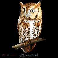 Screech Owl Graphic Birder Wildlife Bird Watching Women's Hoodie thumb 2