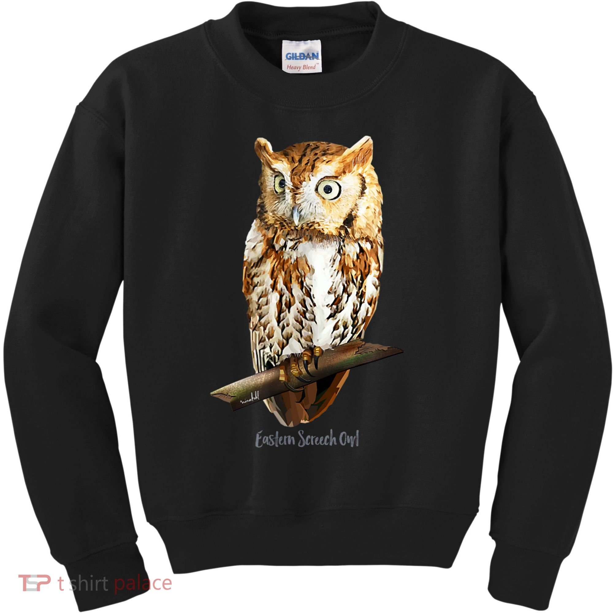 Screech Owl Graphic Birder Wildlife Bird Watching Kids Sweatshirt