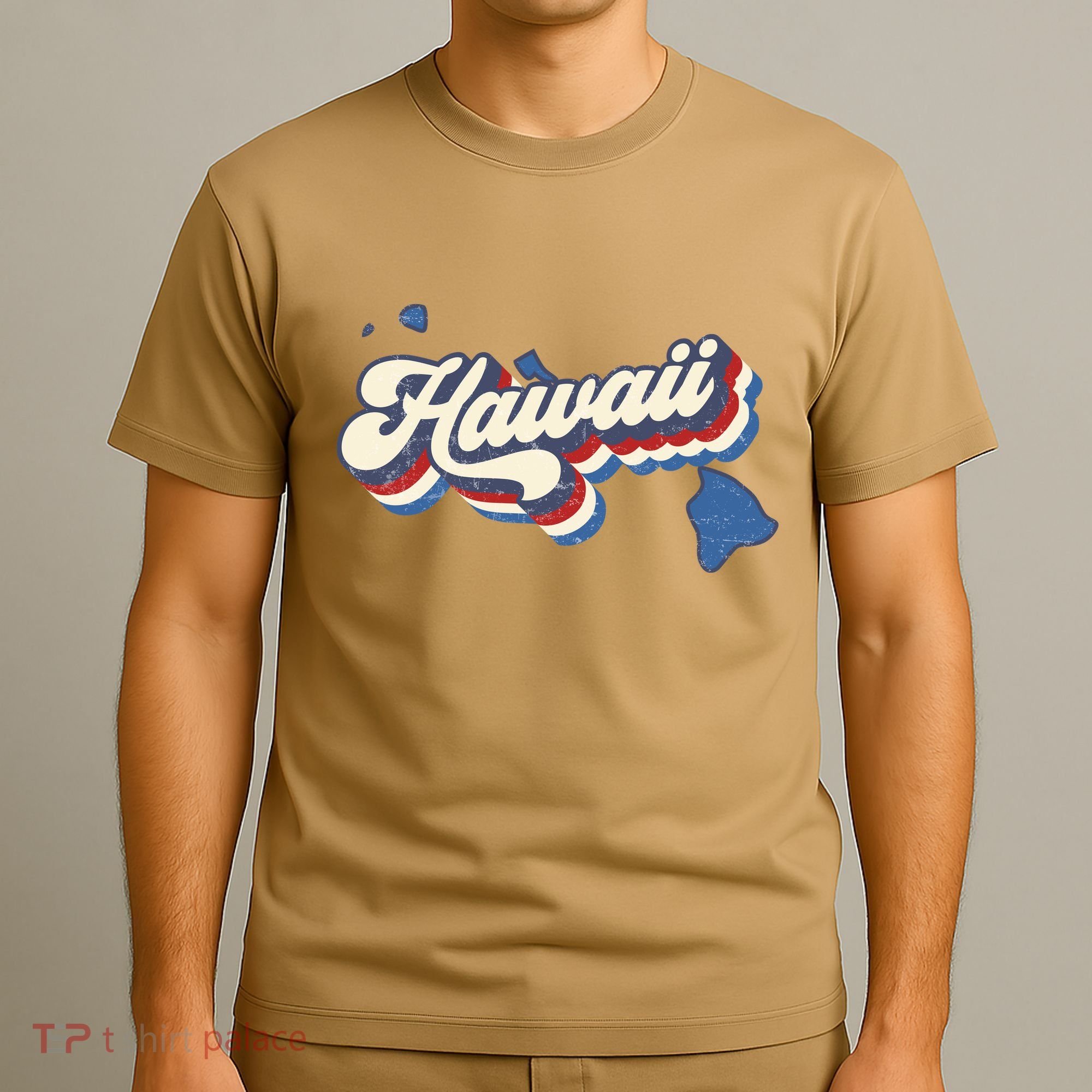 State Of Hawaii Retro Logo T-Shirt