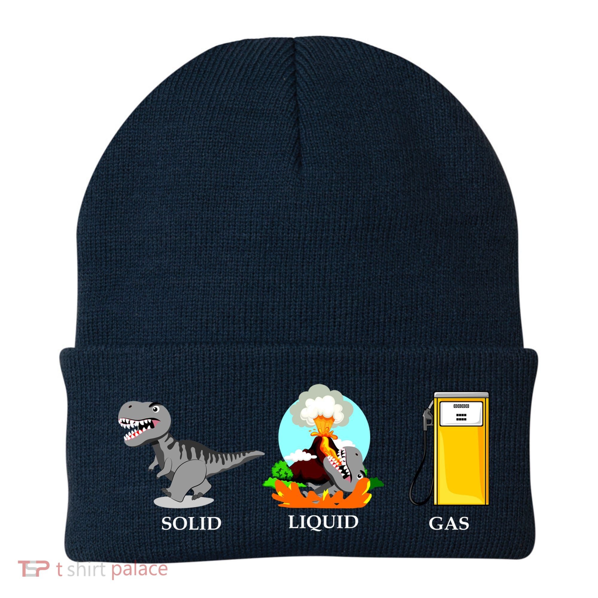Solid Liquid Gas Dinosaur Beanie