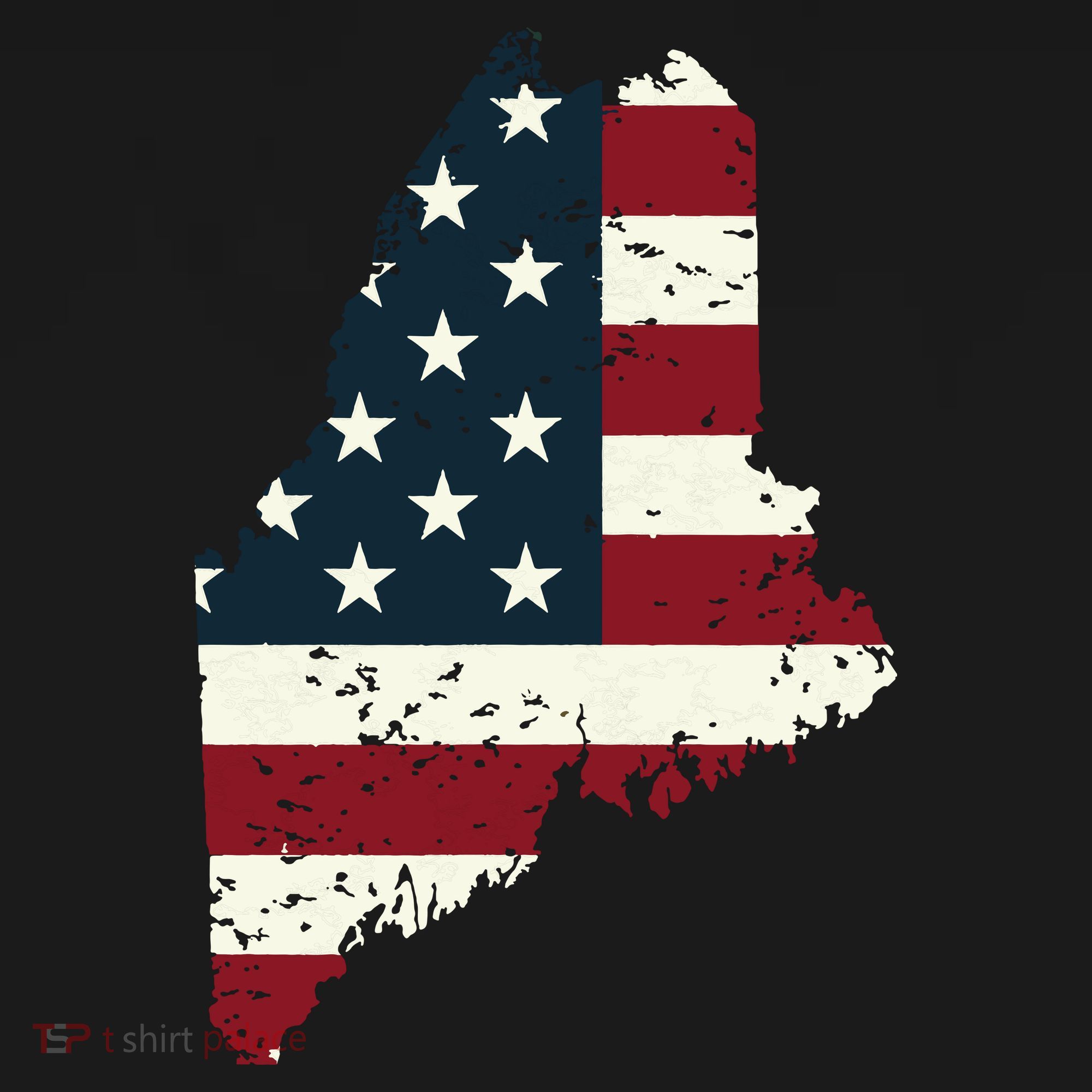 State Of Maine Usa Flag Patriotic For Women Adults Women's Hoodie