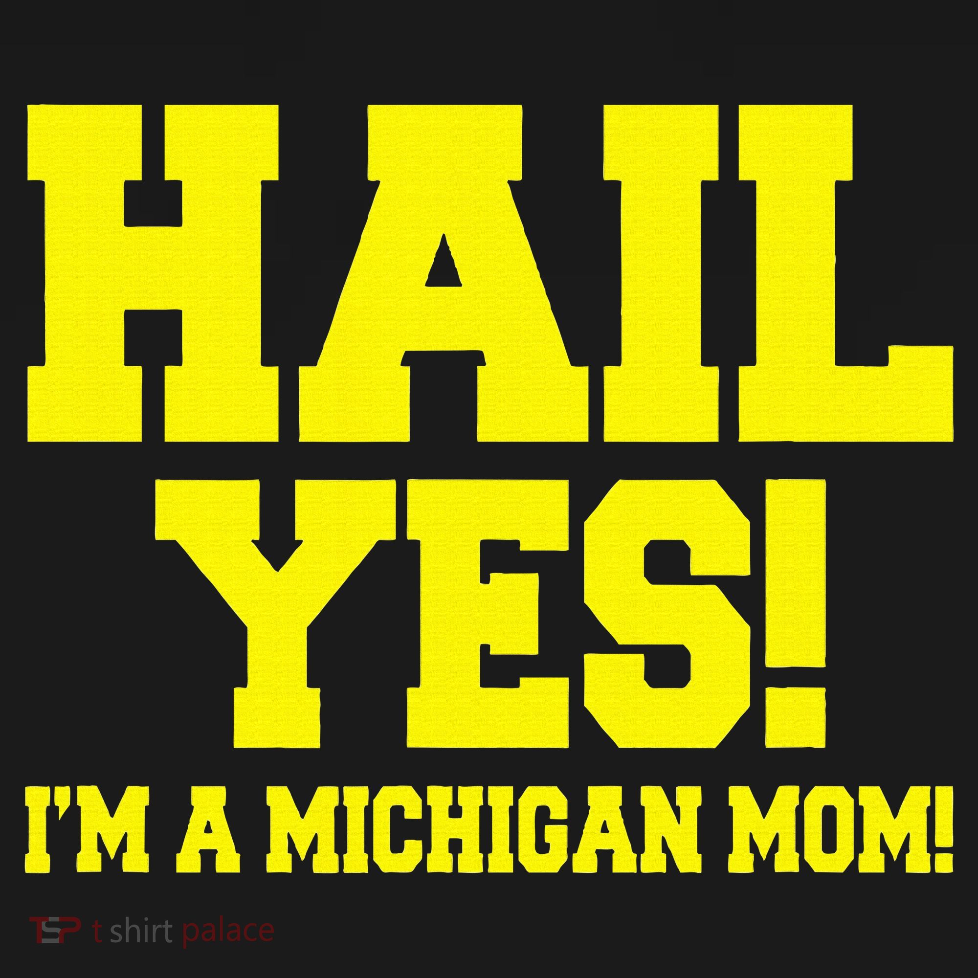 State Of Michigan Hail! Yes Mom Mother Ann Arbor Gift U M Coaster