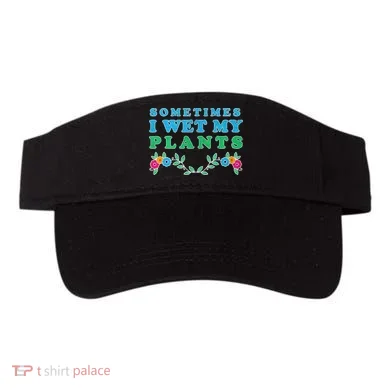 Visor