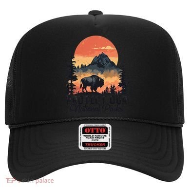 Save Our National Parks Resist Service Bison Buffalo Hat