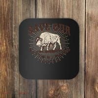 Save Our National Parks Defund DOGE Resist Bison ALT US Coaster thumb 0