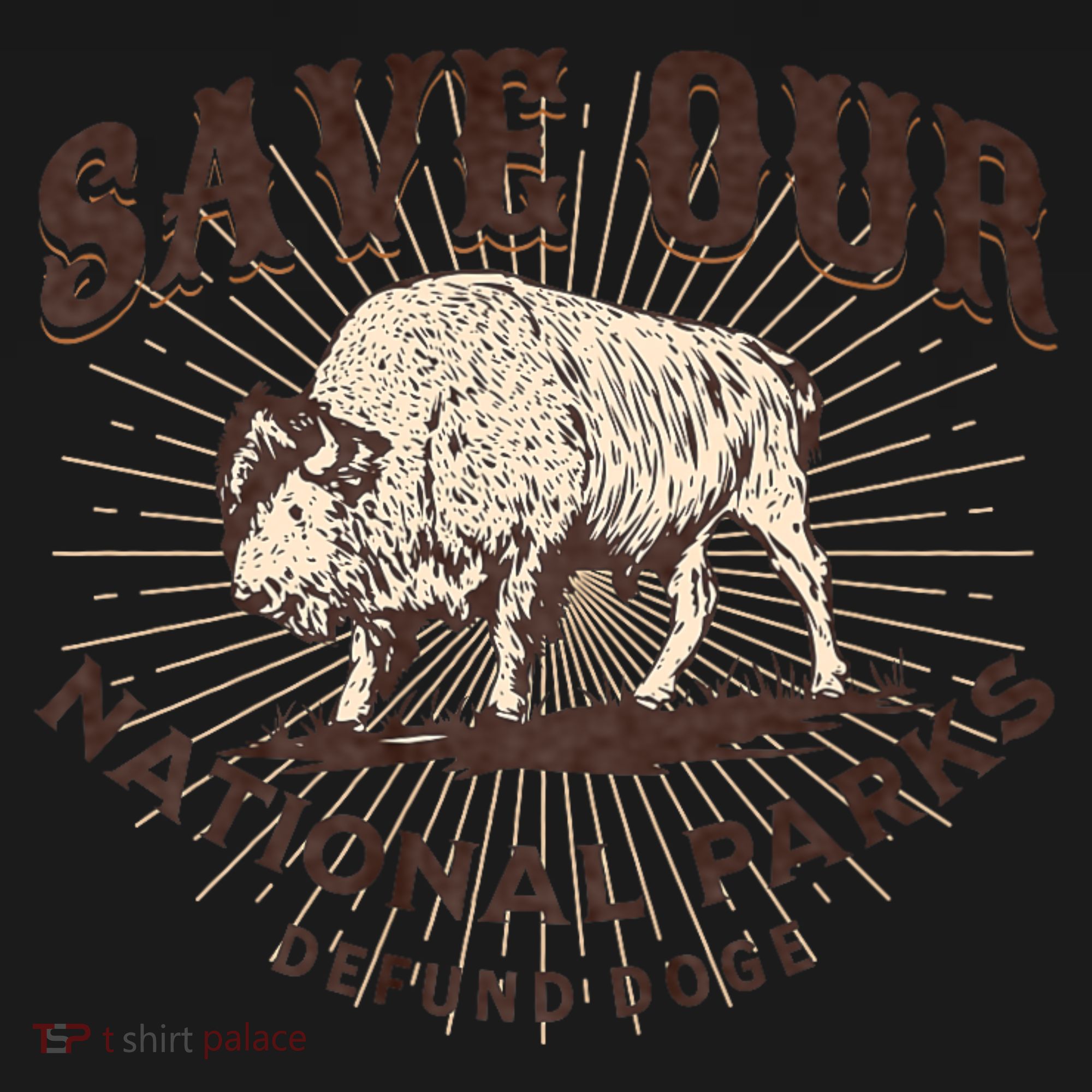 Save Our National Parks Defund DOGE Resist Bison ALT US Coaster