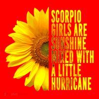 Scorpio October November Birthday Sunflower Queen Gift Santa Hat thumb 1