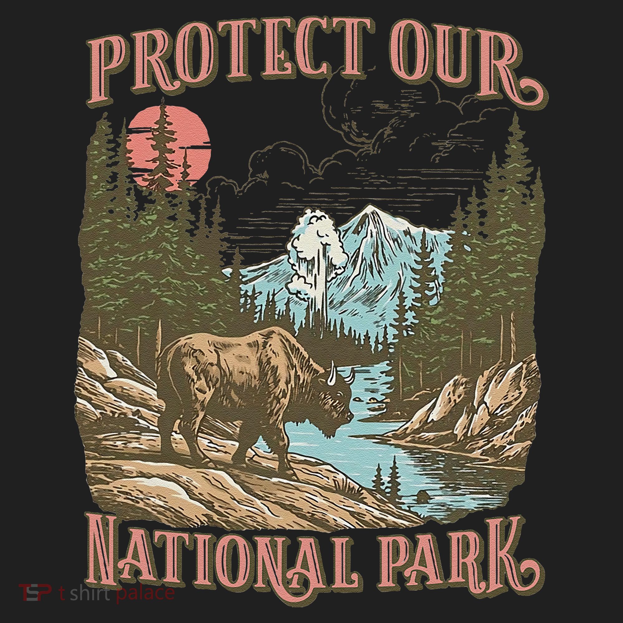Save Our National Parks Resist Service Bison Buffalo Hat