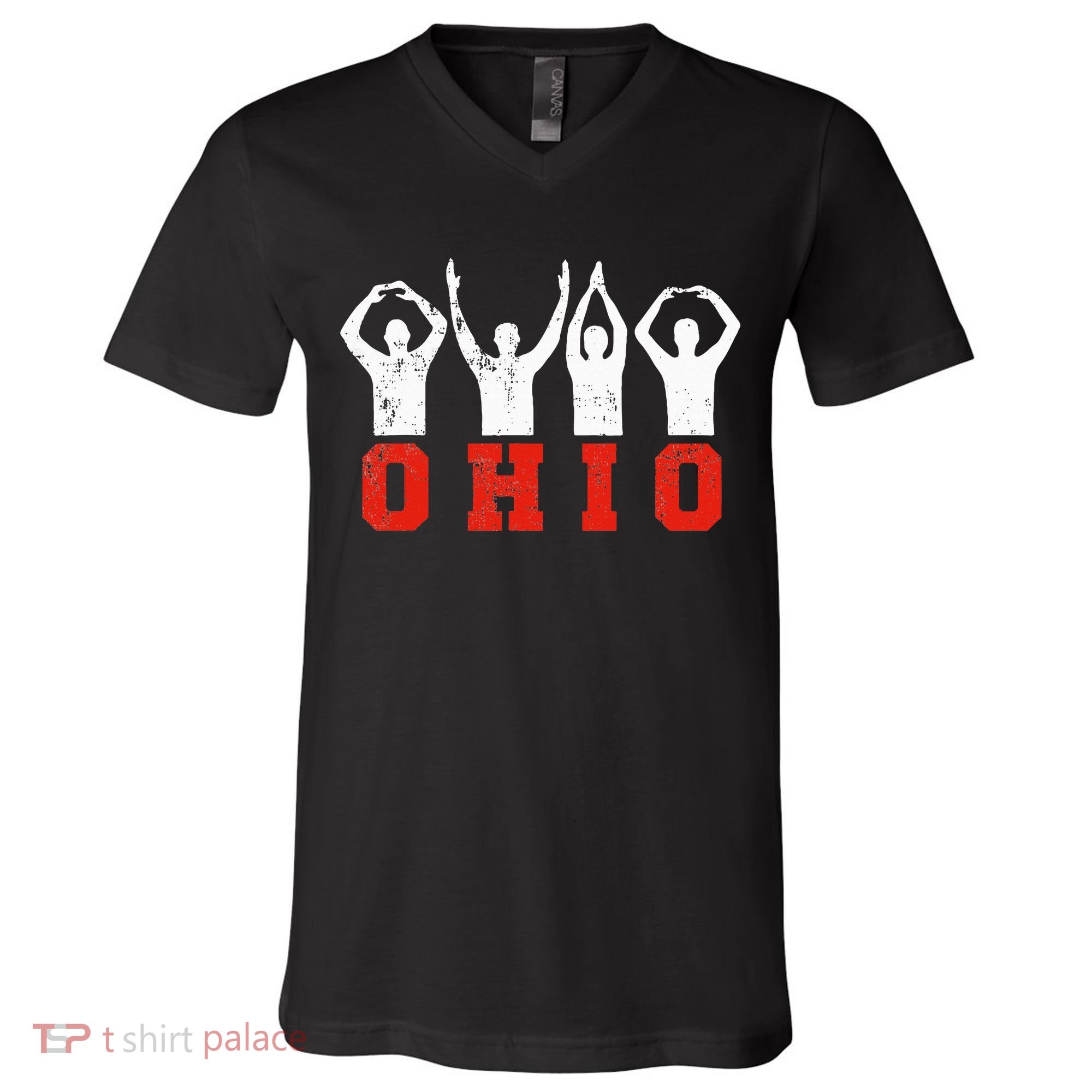 State Of Ohio Ohioan OH Trendy Distressed V-Neck T-Shirt
