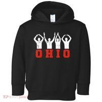 State Of Ohio Ohioan OH Trendy Distressed Toddler Hoodie thumb 0