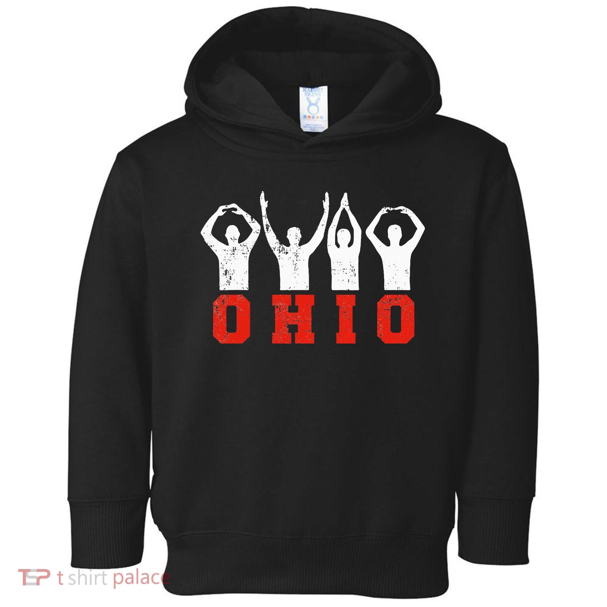 State Of Ohio Ohioan OH Trendy Distressed Toddler Hoodie