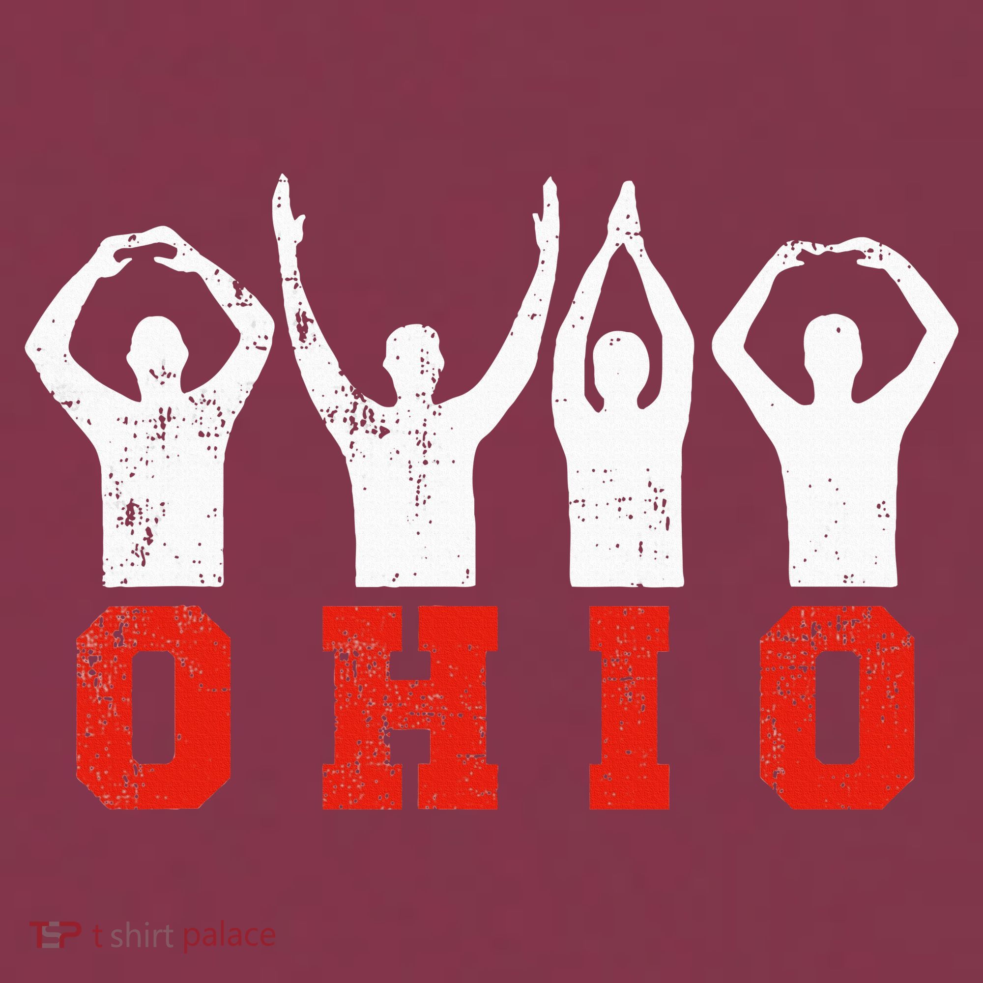 State Of Ohio Ohioan OH Trendy Distressed 16oz Travel Tumbler