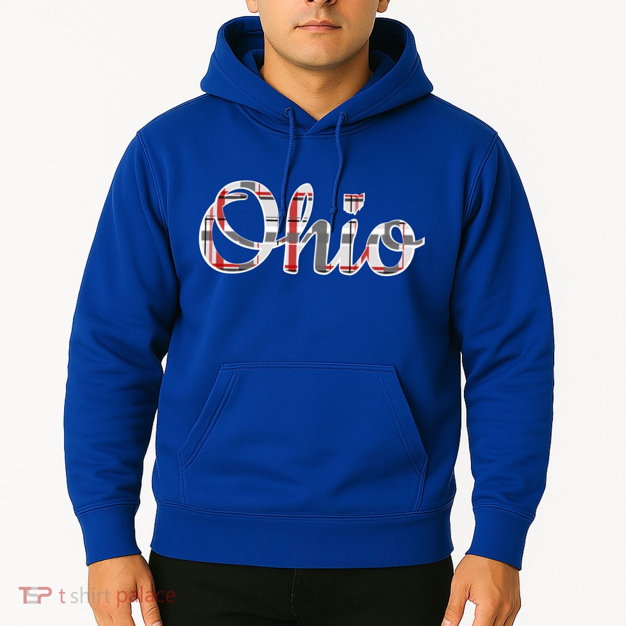 State Of Ohio Ohioan Pride Trendy Plaid Script Texgift Hoodie