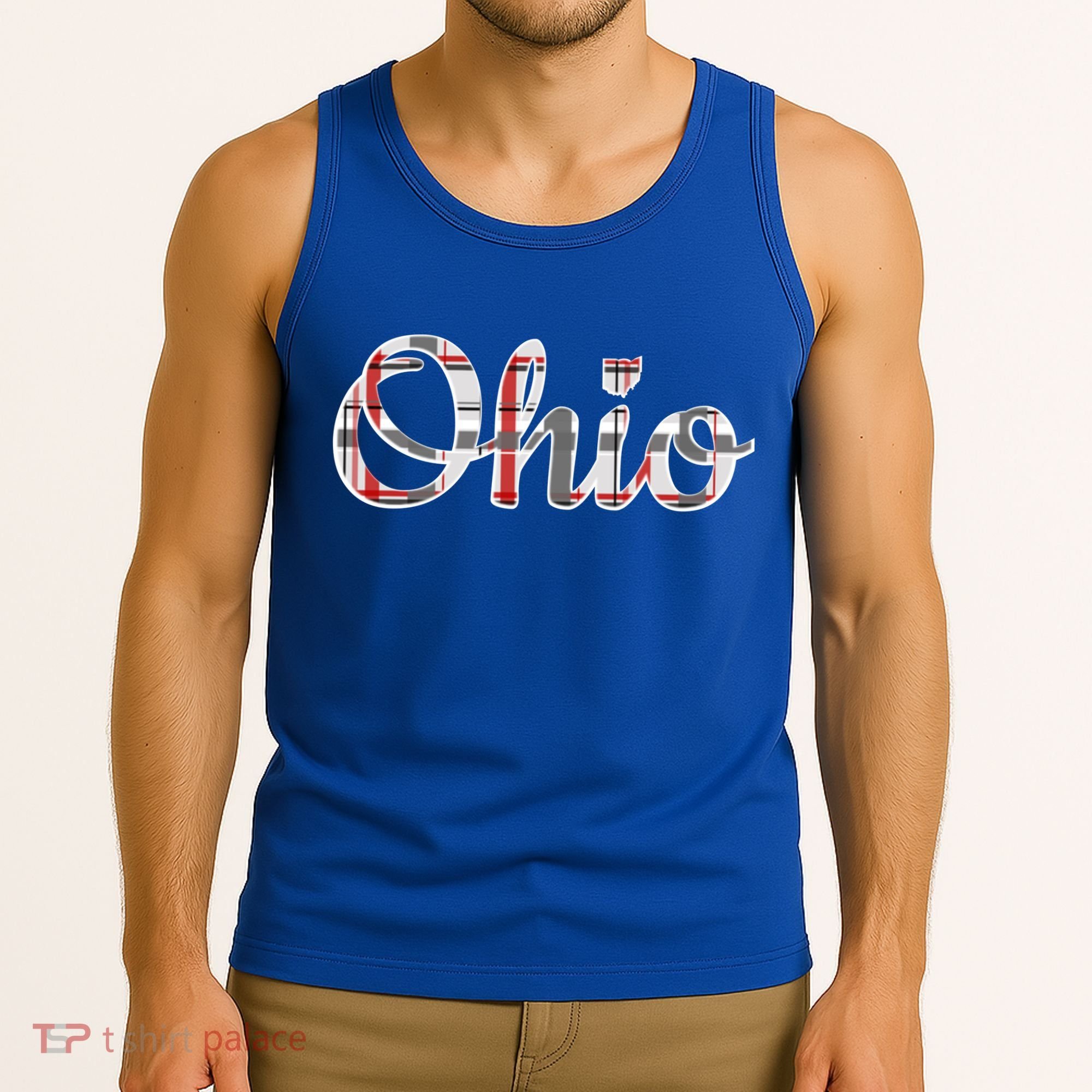 State Of Ohio Ohioan Pride Trendy Plaid Script Texgift Tank Top
