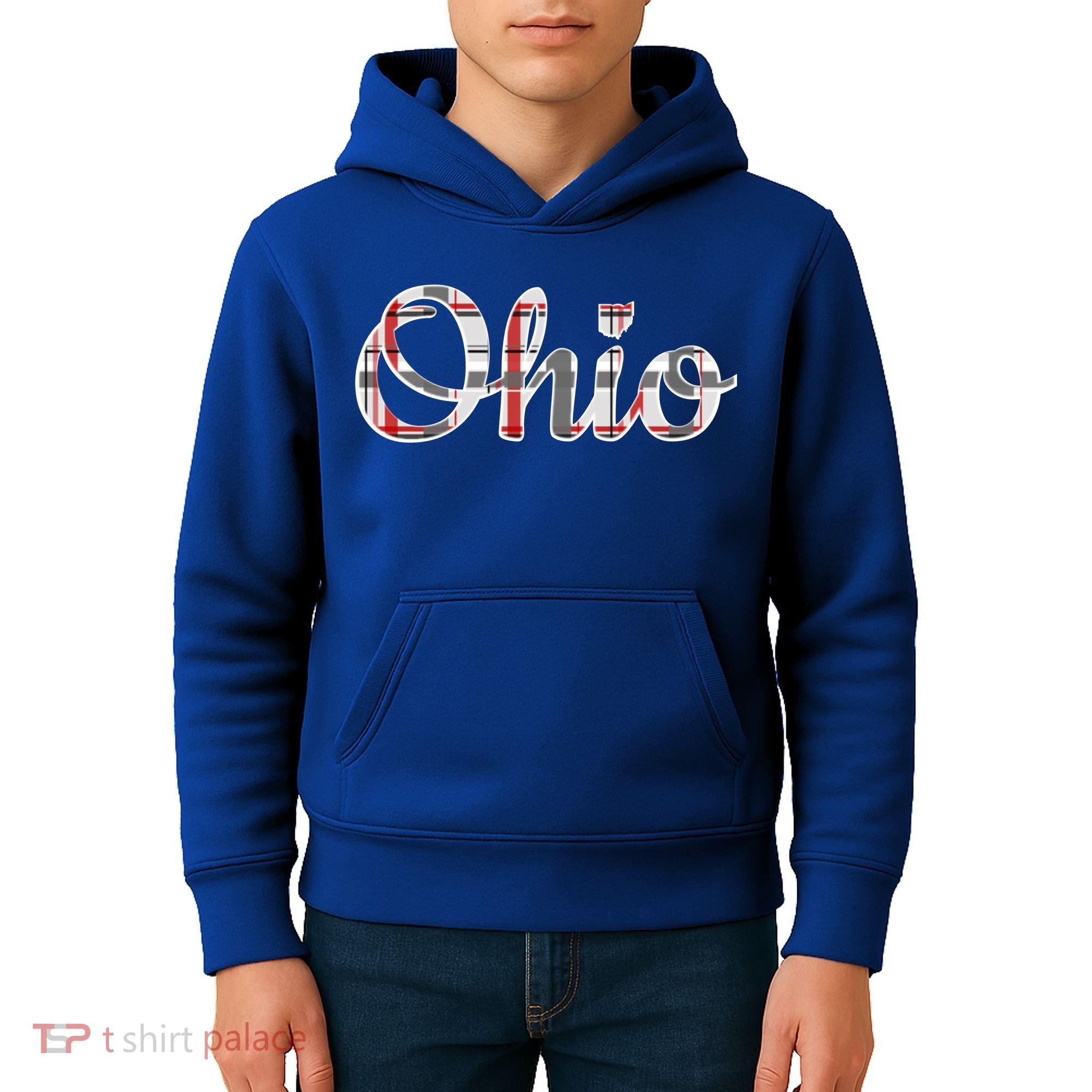 State Of Ohio Ohioan Pride Trendy Plaid Script Texgift Kids Hoodie