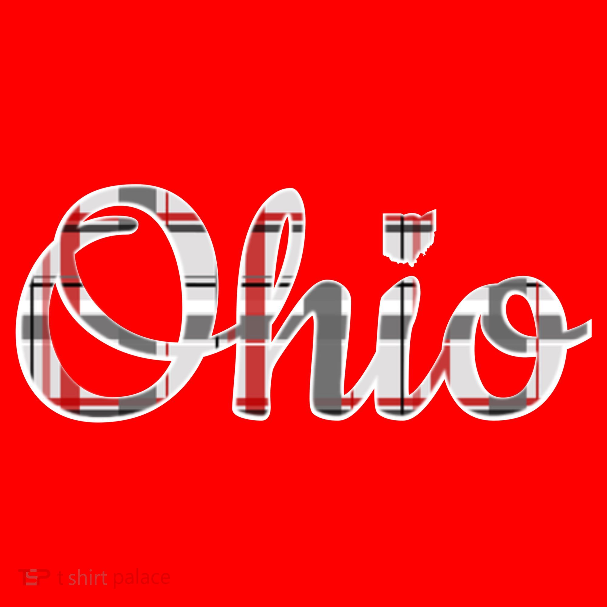 State Of Ohio Ohioan Pride Trendy Plaid Script Texgift Santa Hat