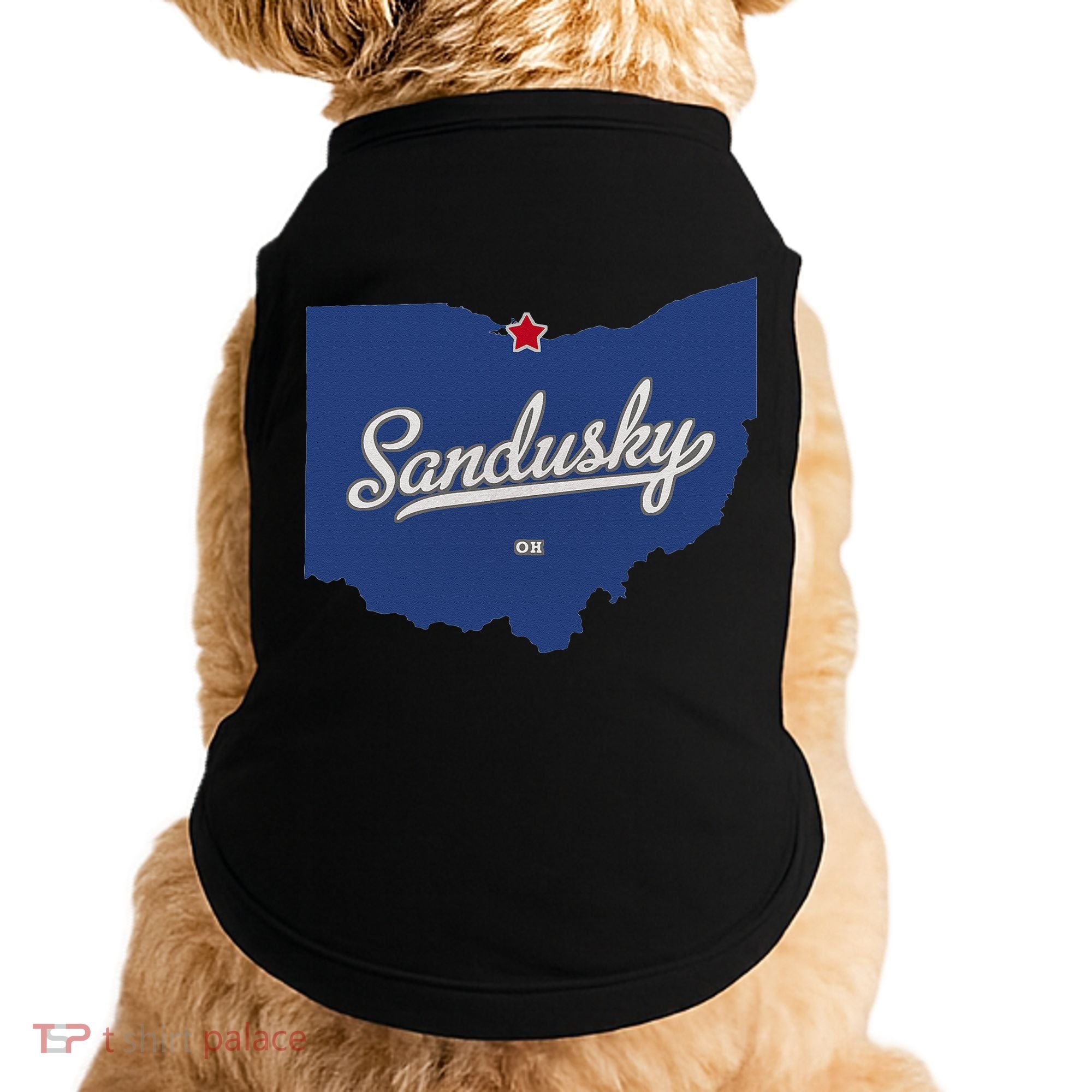 Sandusky Ohio OH Map Doggie Tank