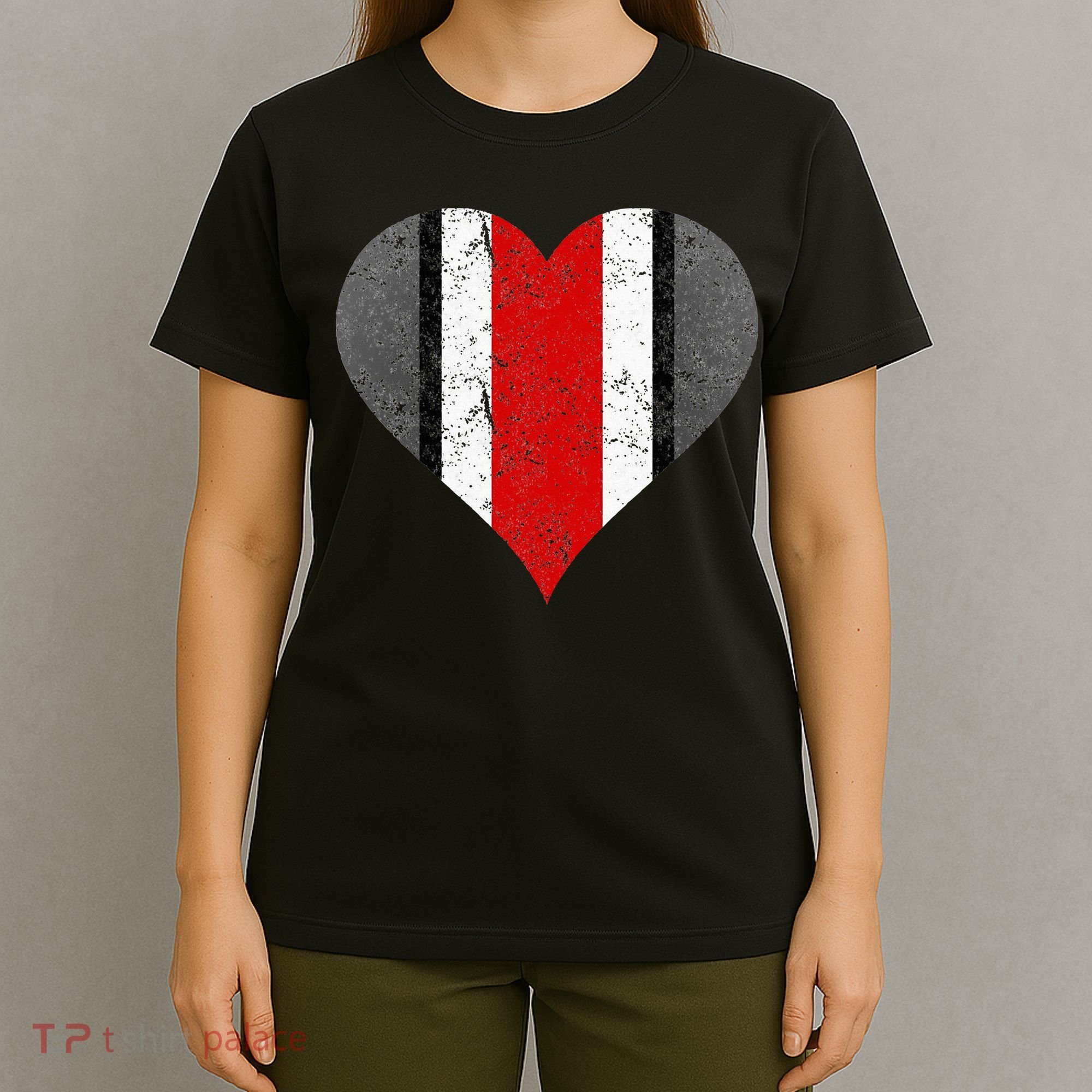 State Of Ohio Pride Striped Distressed T-Shirt