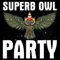 Superb Owl Party What We Do in the Shadows Classic Women's Hoodie thumb 2