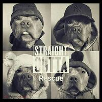 Straight Outta Rescue Pitbull Coaster thumb 2