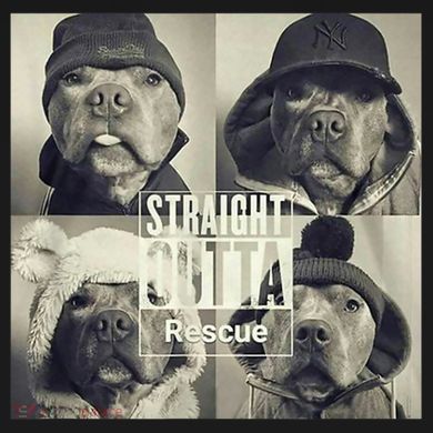 Straight Outta Rescue Pitbull Tie-Dye Long Sleeve Shirt