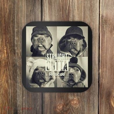 Straight Outta Rescue Pitbull Coaster
