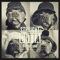 Straight Outta Rescue Pitbull Toddler Hoodie thumb 2