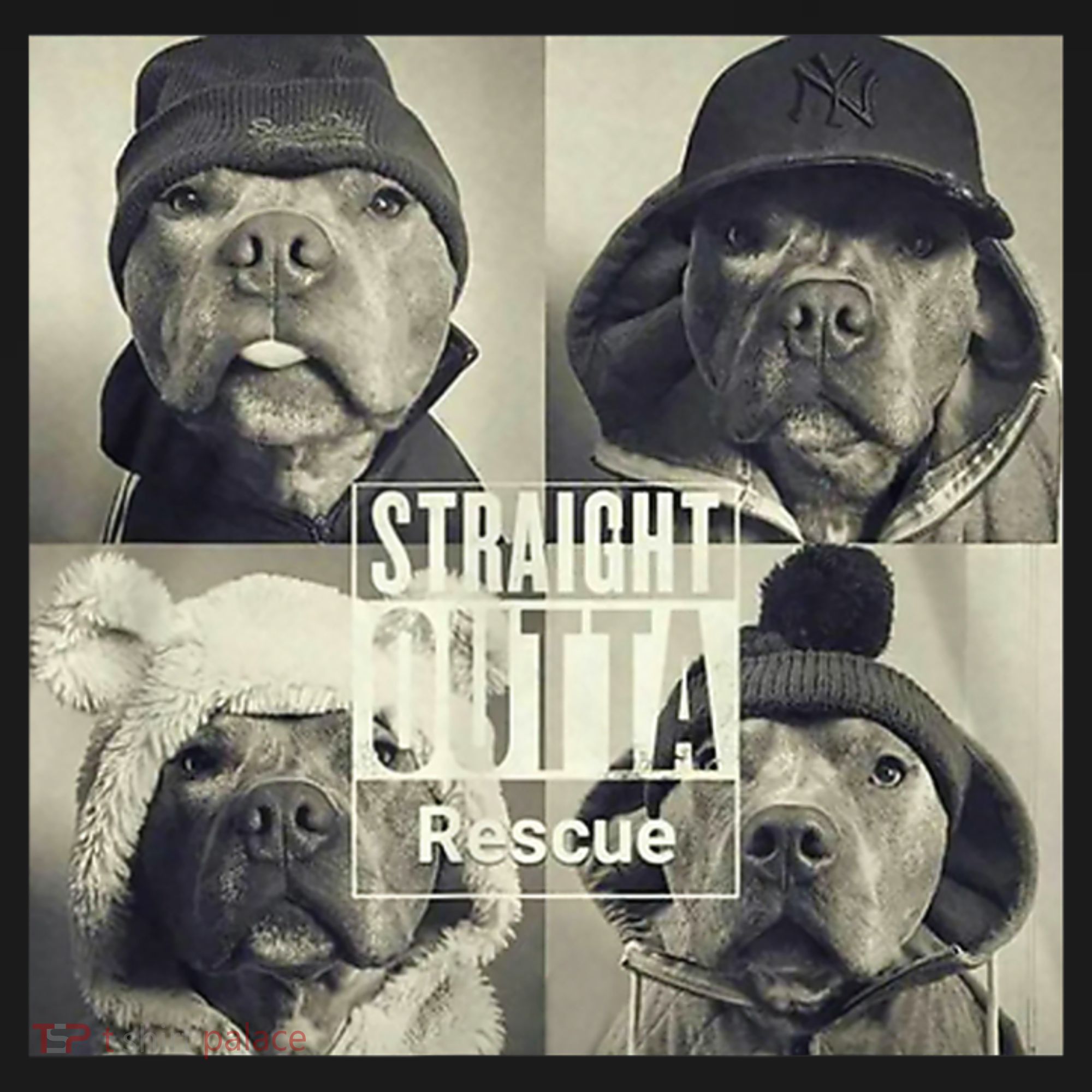 Straight Outta Rescue Pitbull Toddler Hoodie