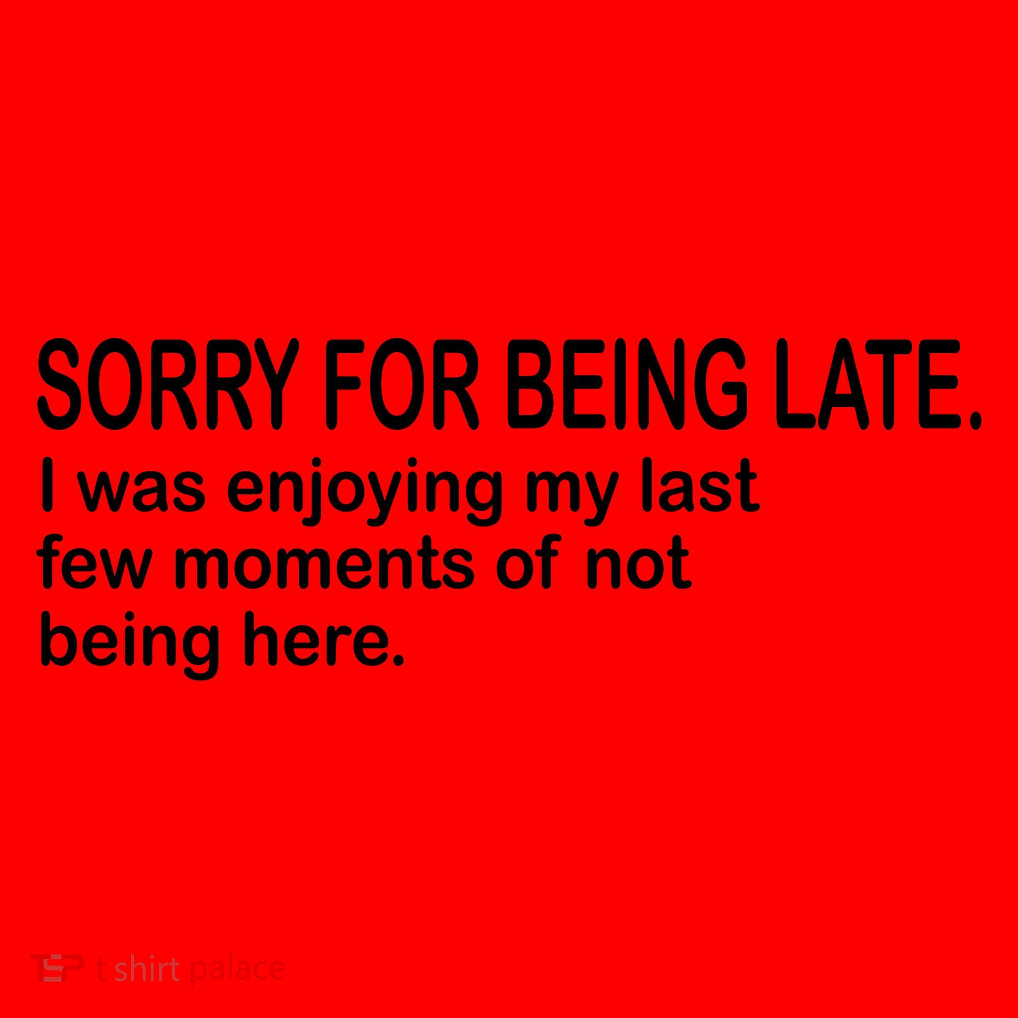 Sorry For Being Late Funny Sayings Santa Hat