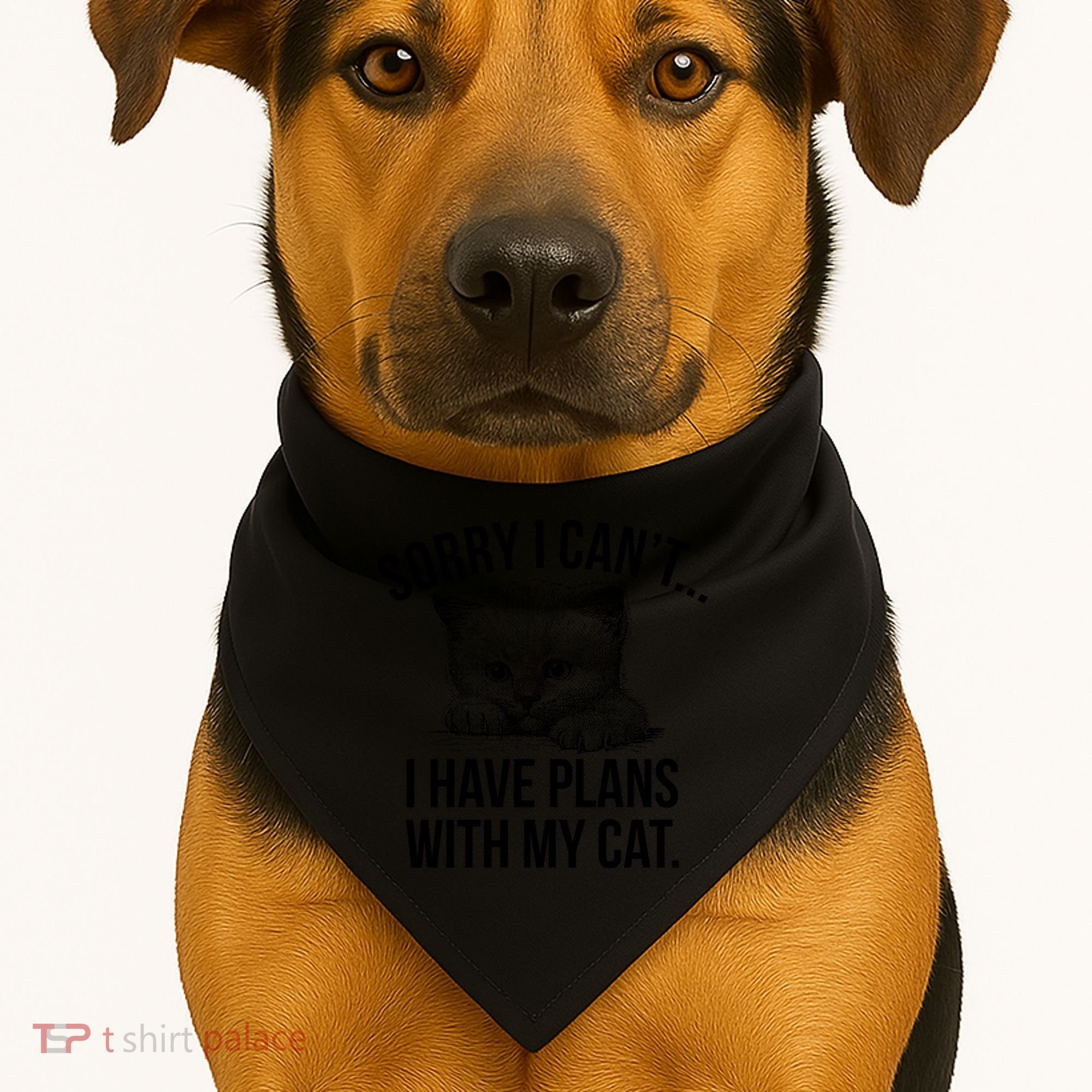 Sorry I Cant I Have Plans With My Cat Funny USA-Made Doggie Bandana