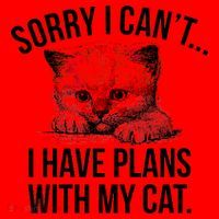 Sorry I Cant I Have Plans With My Cat Funny Santa Hat thumb 1