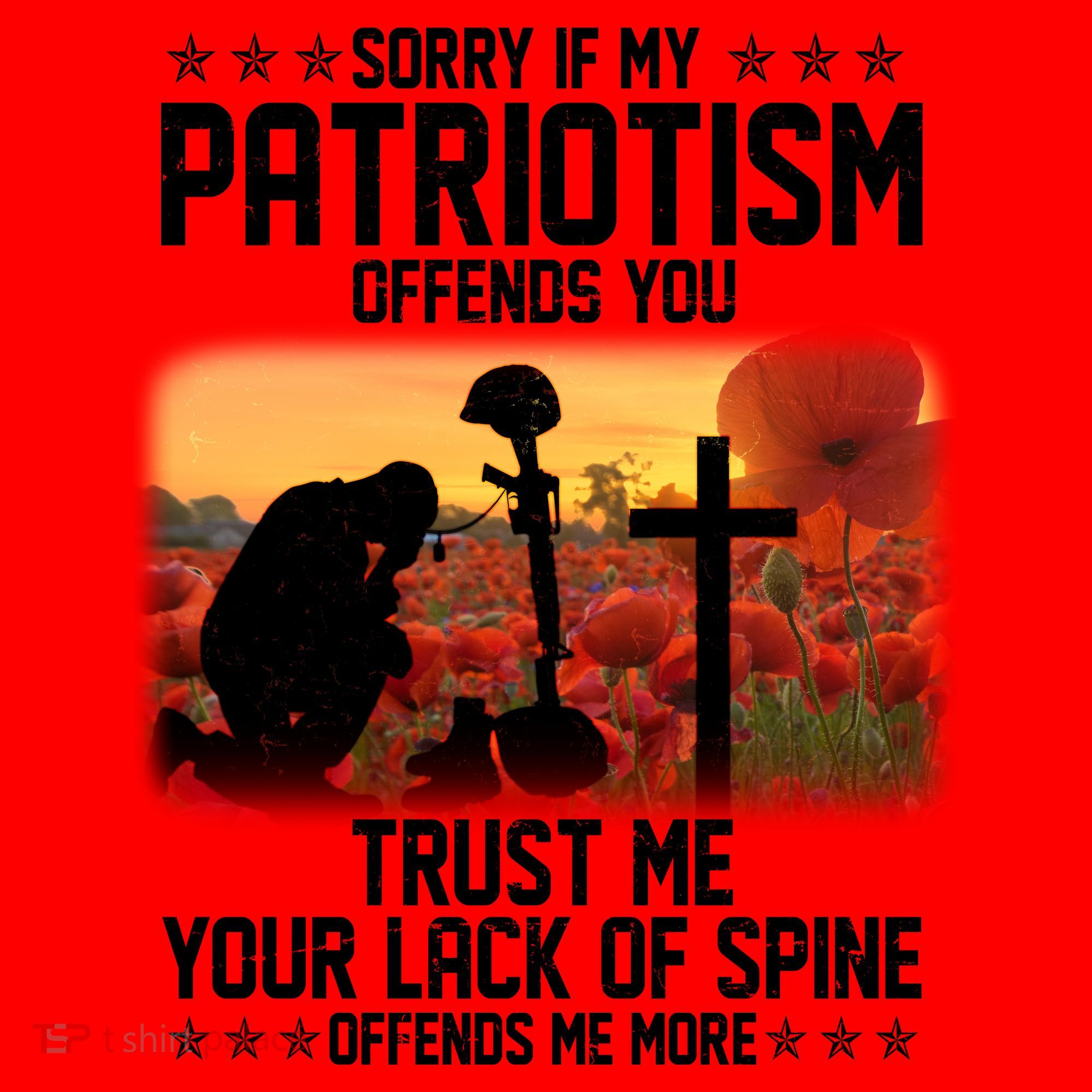 Sorry If My Patriotism Offends You Santa Hat