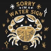 Sorry I'm A Water Sign Crab Toddler Hoodie thumb 2