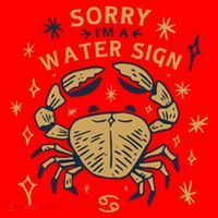 Sorry I'm A Water Sign Crab Santa Hat thumb 1