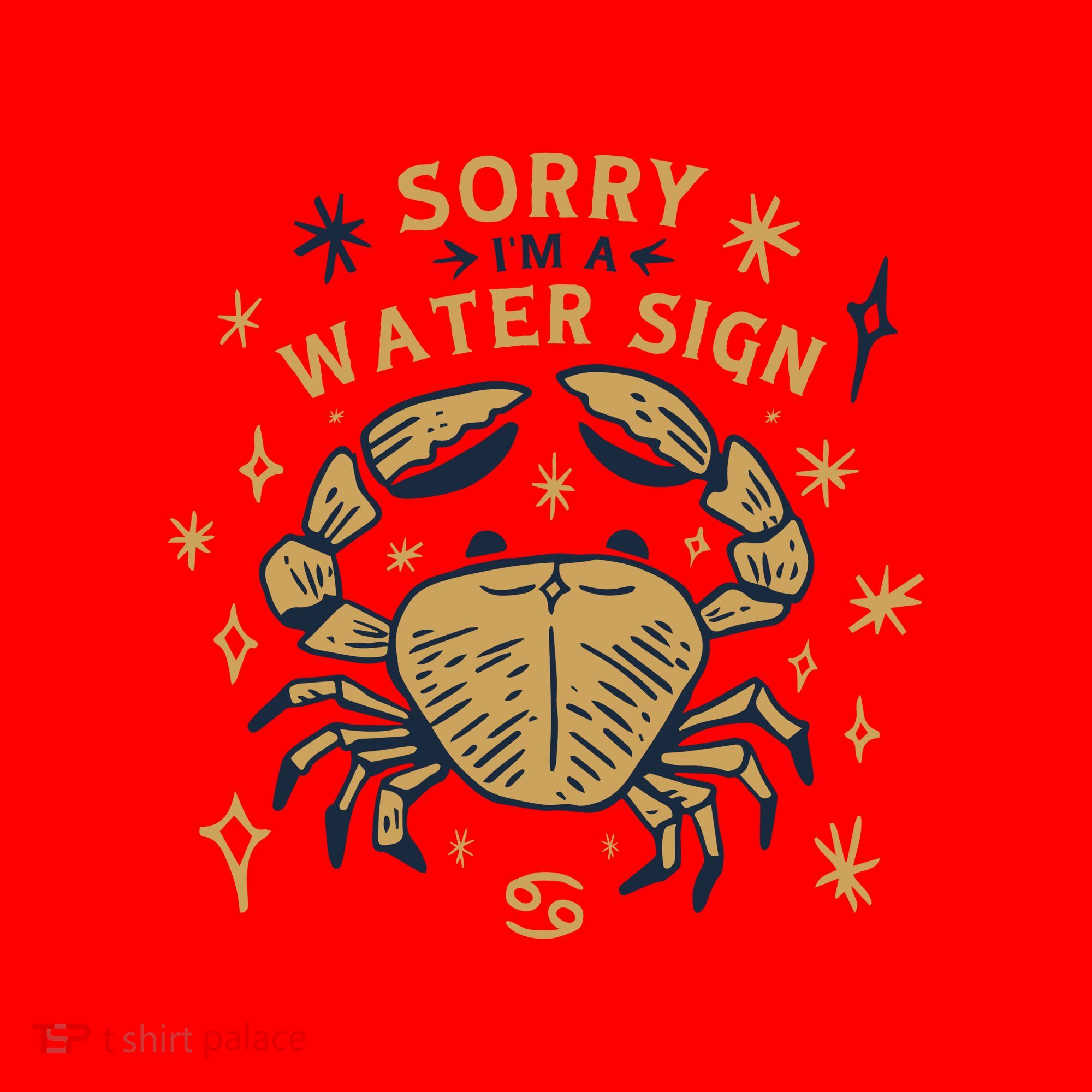 Sorry I'm A Water Sign Zodiac Birthday Santa Hat