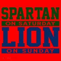 Spartan On Saturday Lion On Sunday Funny Detroit Santa Hat thumb 1