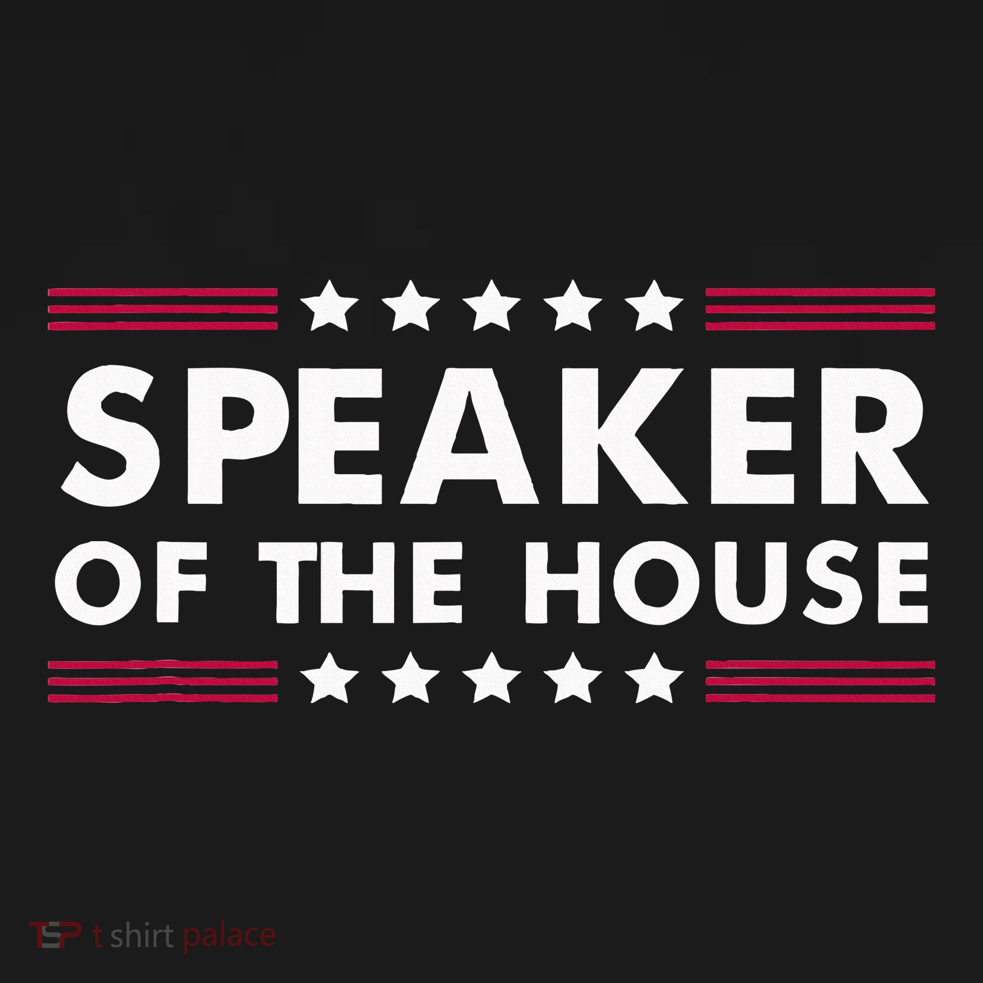 Speaker Of The House Of Representatives Novelty Usa Senate Women's Tank Top