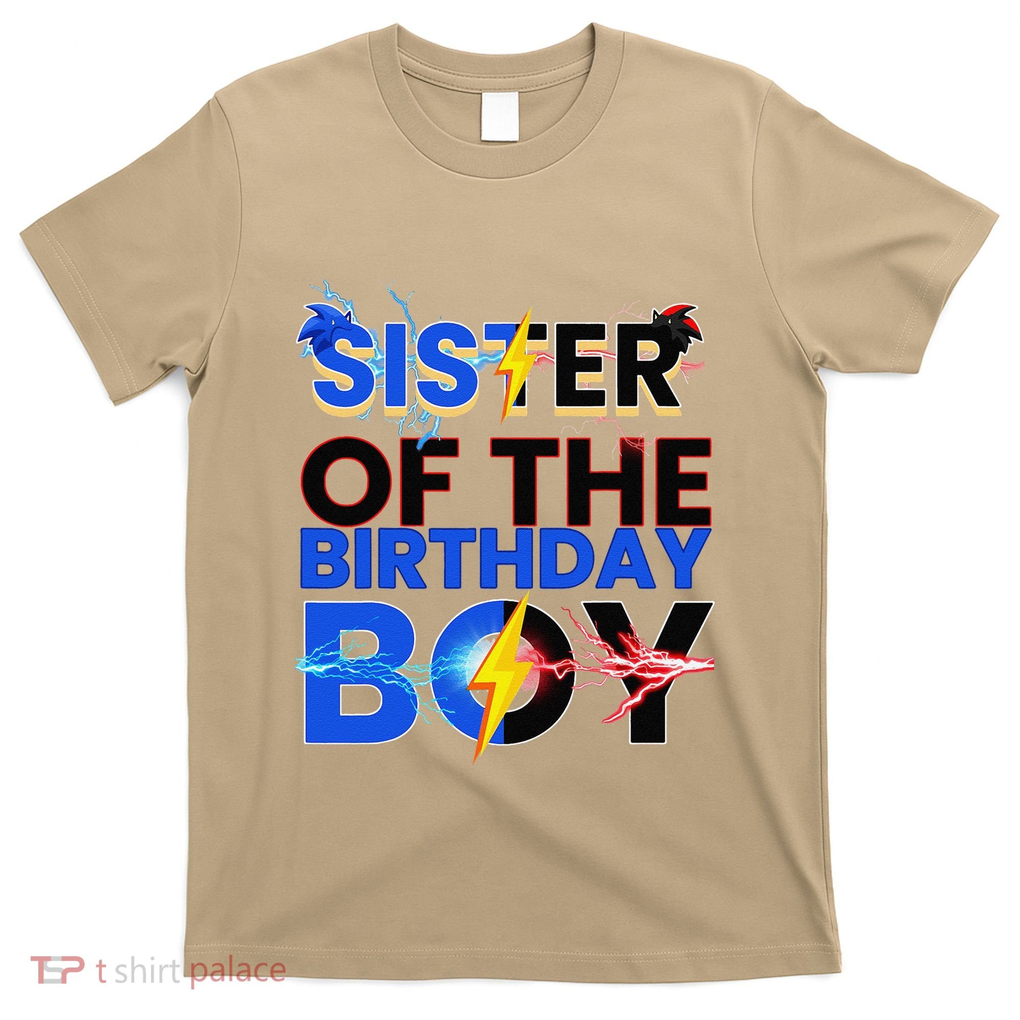 Sister Of The Birthday Boy Hedgehog Family Party Decorations T-Shirt