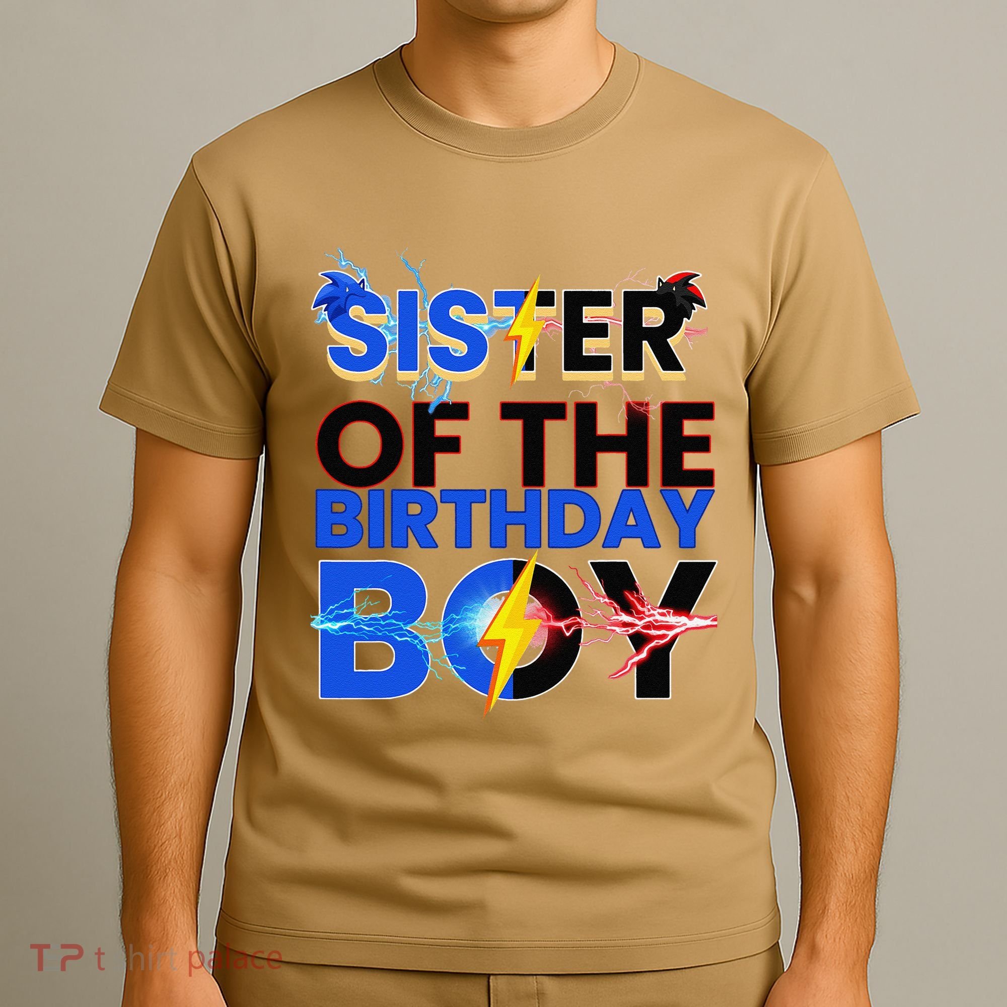 Sister Of The Birthday Boy Hedgehog Family Party Decorations T-Shirt