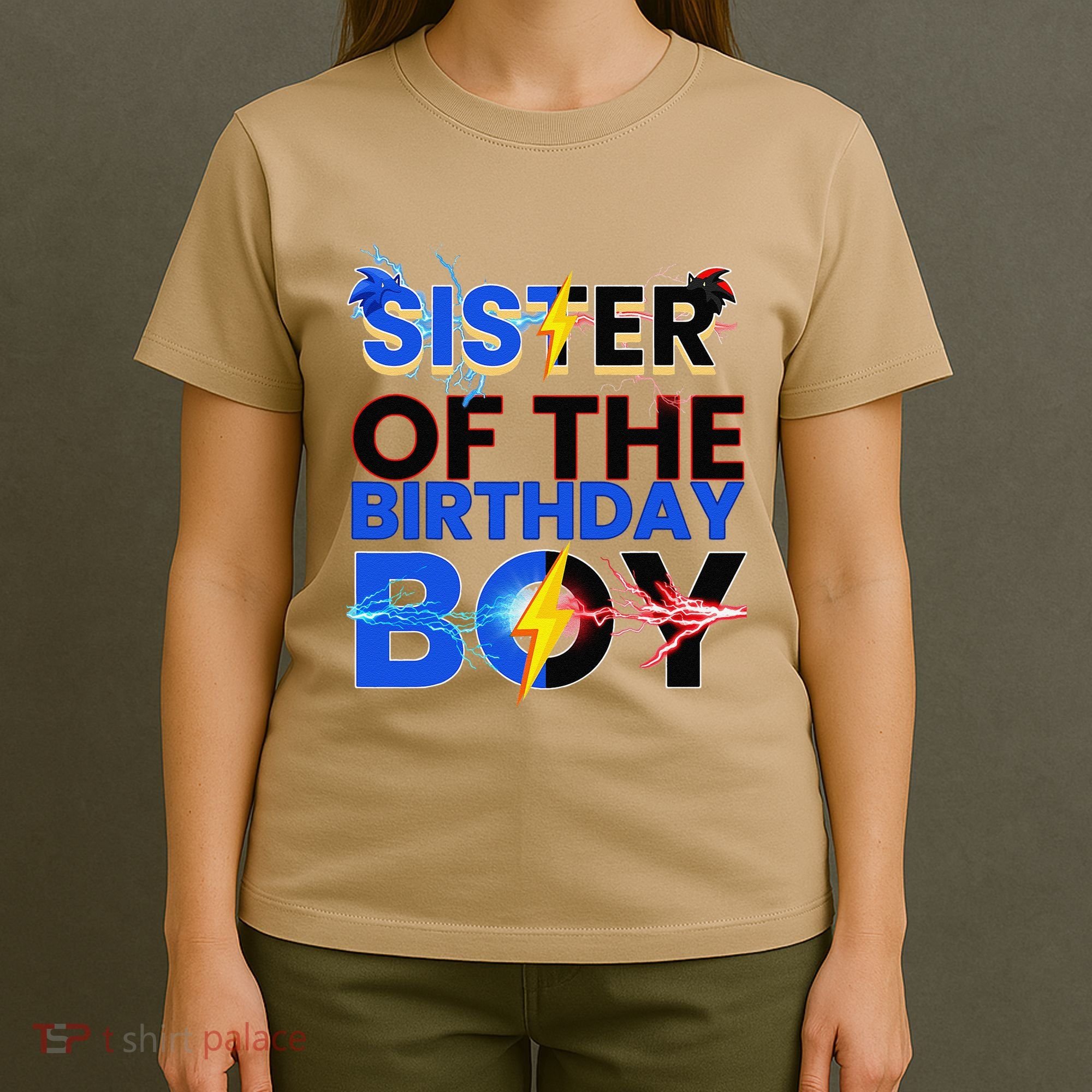 Sister Of The Birthday Boy Hedgehog Family Party Decorations T-Shirt
