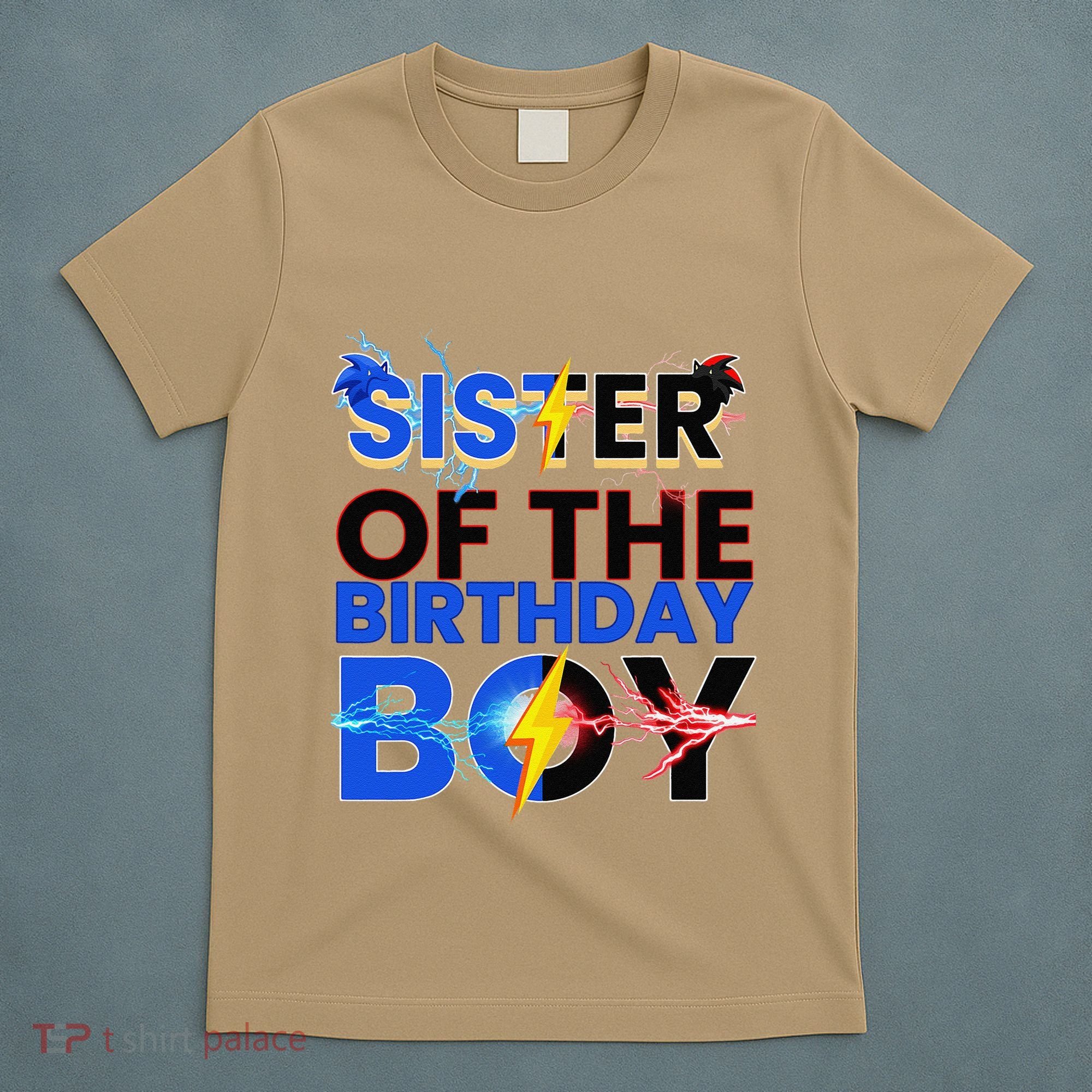 Sister Of The Birthday Boy Hedgehog Family Party Decorations T-Shirt