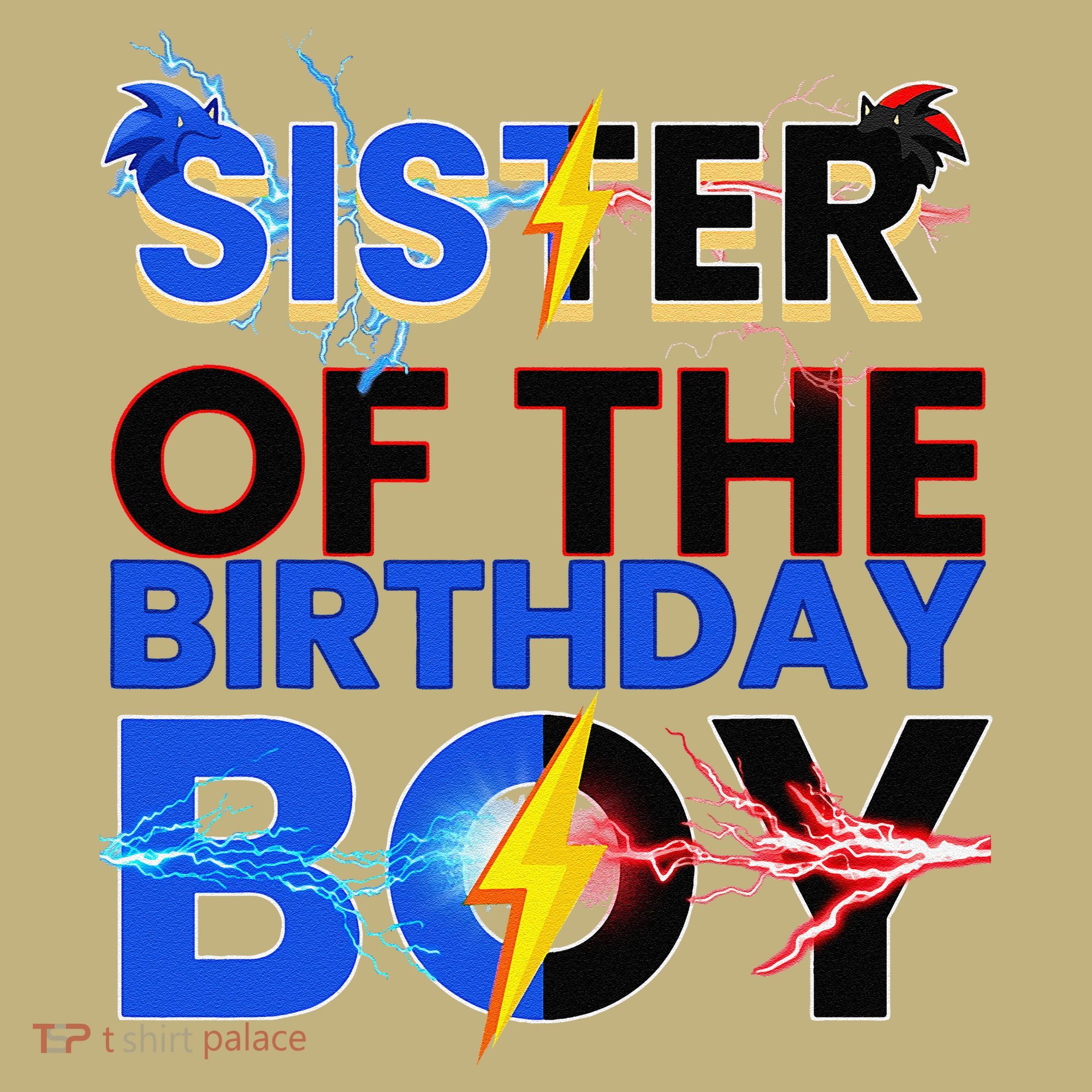 Sister Of The Birthday Boy Hedgehog Family Party Decorations T-Shirt