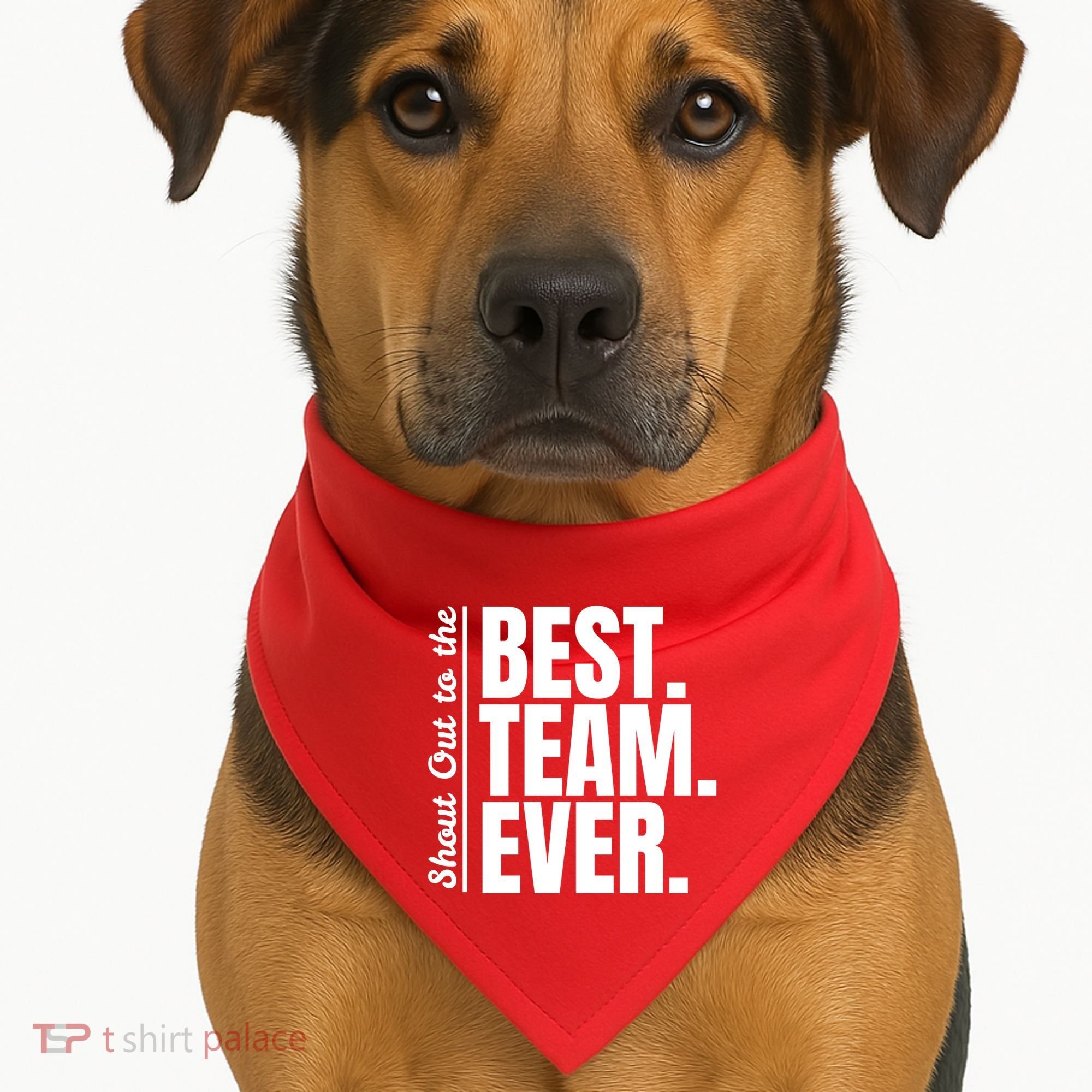 Shout Out To Best Team Ever Employee Appreciation Team USA-Made Doggie Bandana