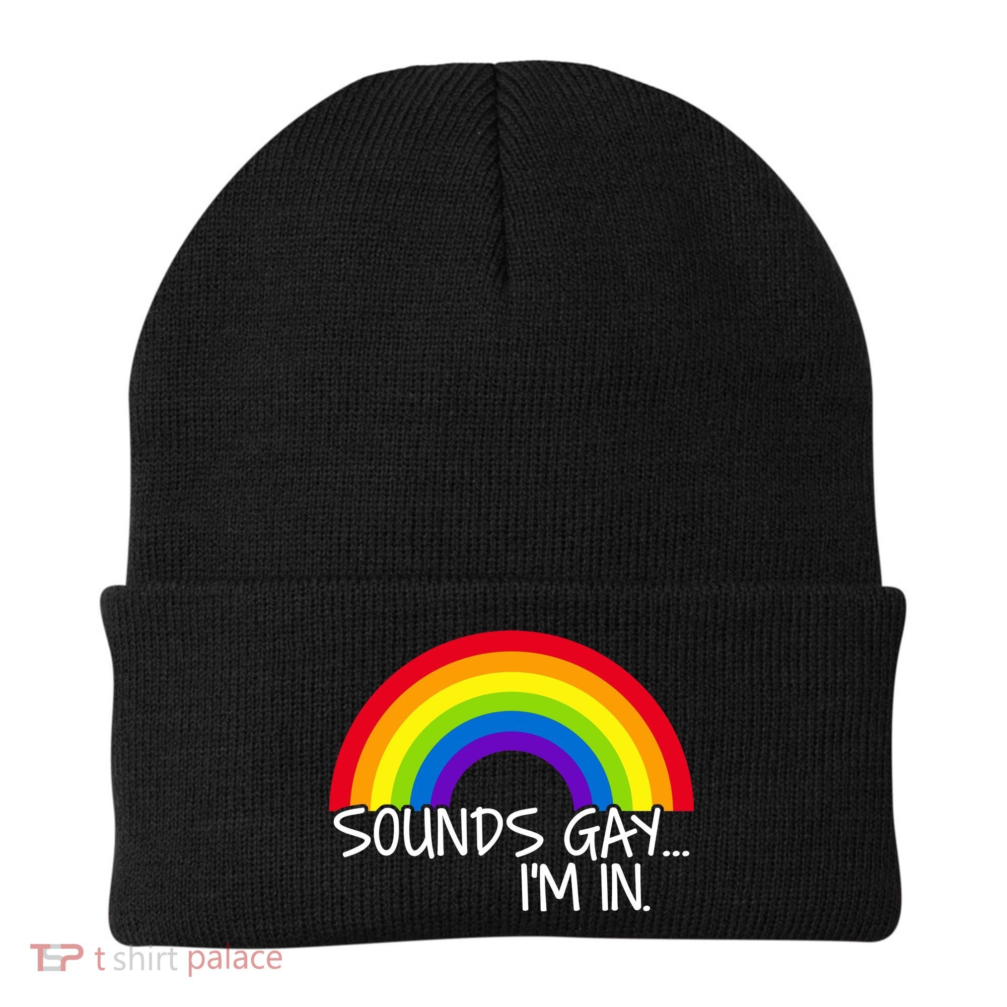 Sounds Gay I'm In Funny LGBT Beanie