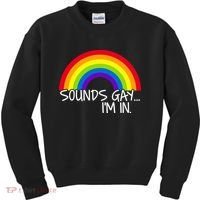 Sounds Gay I'm In Funny LGBT Kids Sweatshirt thumb 0