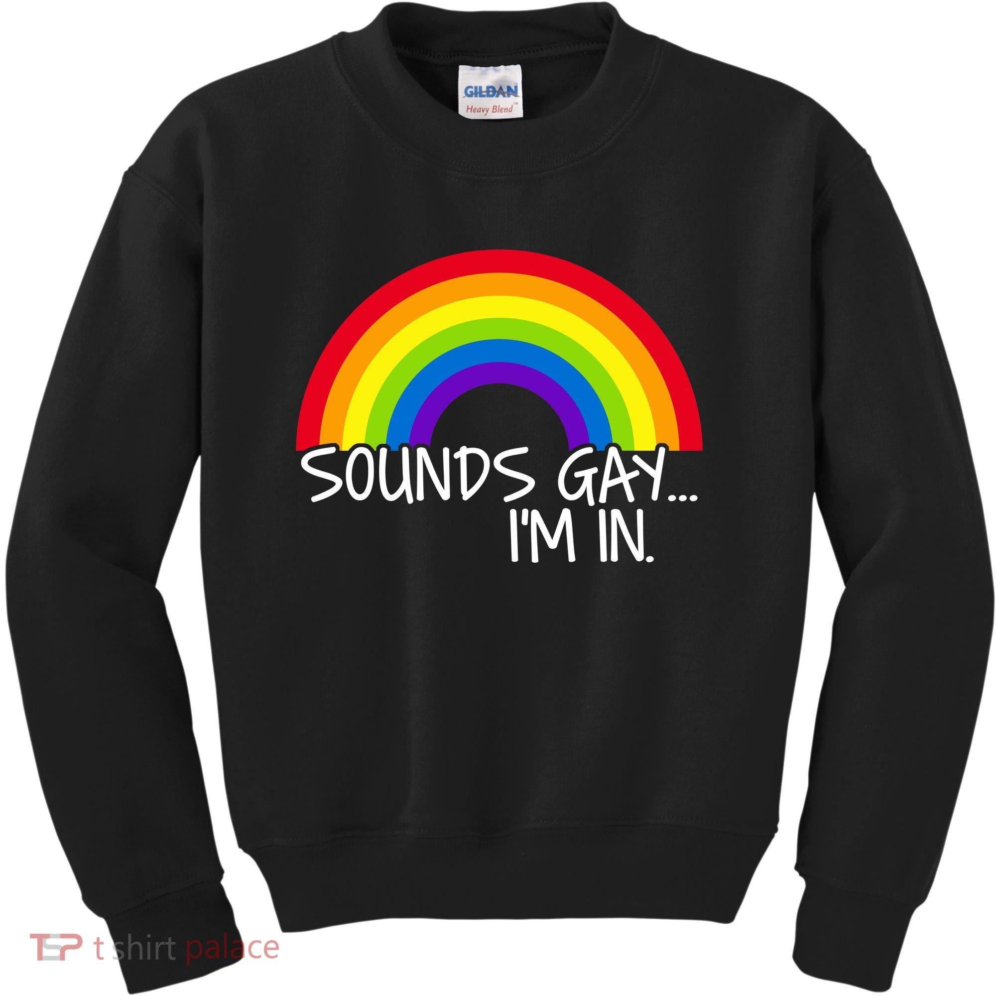 Sounds Gay I'm In Funny LGBT Kids Sweatshirt